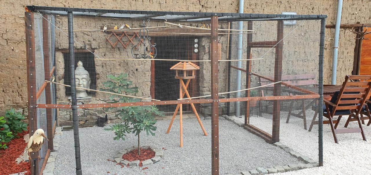 Guest House Eolea Biser المظهر الخارجي الصورة
